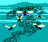 Anim 011 001